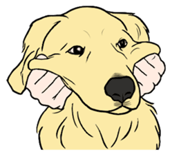 Expressive Golden Retriever 2 in English sticker #7025599