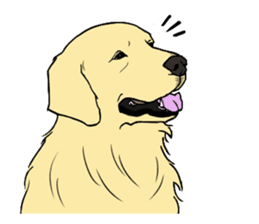 Expressive Golden Retriever 2 in English sticker #7025600