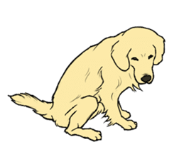 Expressive Golden Retriever 2 in English sticker #7025601