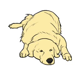 Expressive Golden Retriever 2 in English sticker #7025602