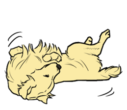 Expressive Golden Retriever 2 in English sticker #7025603