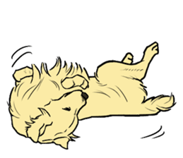 Expressive Golden Retriever 2 in English sticker #7025603