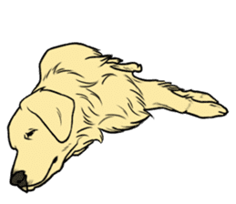 Expressive Golden Retriever 2 in English sticker #7025604