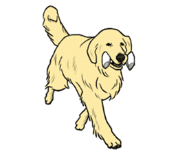 Expressive Golden Retriever 2 in English sticker #7025605