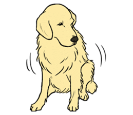 Expressive Golden Retriever 2 in English sticker #7025606