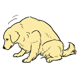 Expressive Golden Retriever 2 in English sticker #7025607