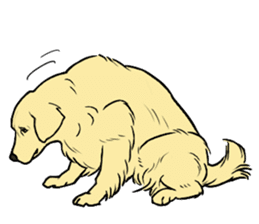Expressive Golden Retriever 2 in English sticker #7025607