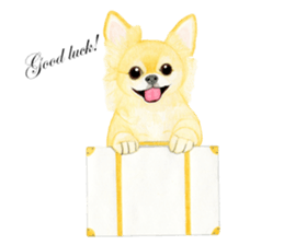 Chihuahua Sticker (English) sticker #7028128