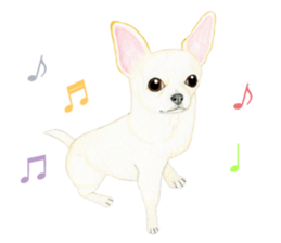 Chihuahua Sticker (English) sticker #7028129