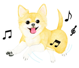 Chihuahua Sticker (English) sticker #7028131