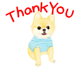 Chihuahua Sticker (English) sticker #7028133