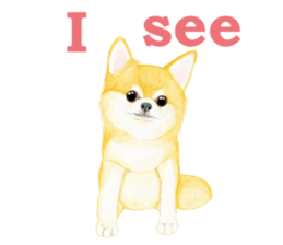 Chihuahua Sticker (English) sticker #7028134