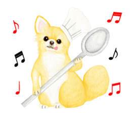 Chihuahua Sticker (English) sticker #7028136