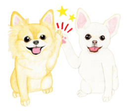 Chihuahua Sticker (English) sticker #7028137