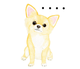 Chihuahua Sticker (English) sticker #7028139