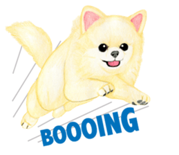 Chihuahua Sticker (English) sticker #7028140