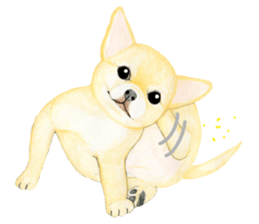 Chihuahua Sticker (English) sticker #7028141