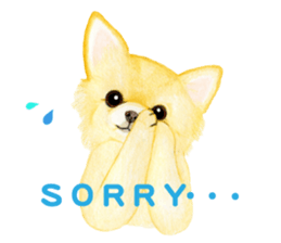 Chihuahua Sticker (English) sticker #7028142