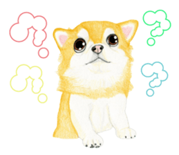 Chihuahua Sticker (English) sticker #7028144