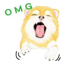 Chihuahua Sticker (English) sticker #7028148