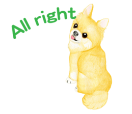 Chihuahua Sticker (English) sticker #7028149