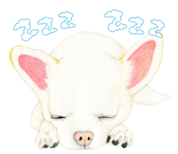 Chihuahua Sticker (English) sticker #7028151