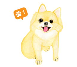 Chihuahua Sticker (English) sticker #7028153