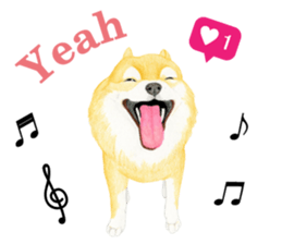 Chihuahua Sticker (English) sticker #7028157