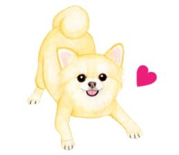 Chihuahua Sticker (English) sticker #7028161