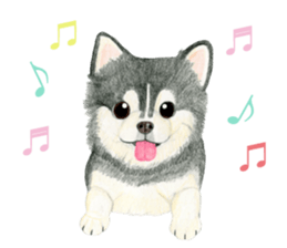 Chihuahua Sticker (English) sticker #7028165