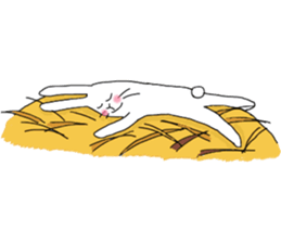 lovely funny rabbit sticker #7028826