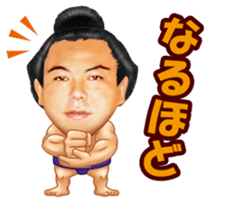 CHIYONOFUJI / Stable Master Kokonoe sticker #7029125