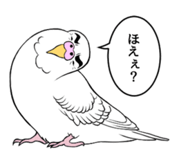 The words that a parakeet learned sticker #7030020