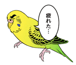 The words that a parakeet learned sticker #7030021