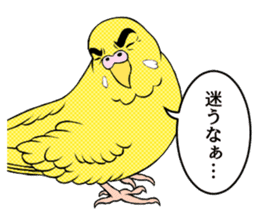 The words that a parakeet learned sticker #7030037