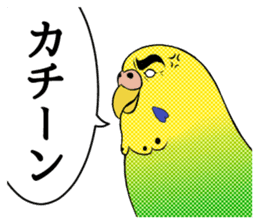 The words that a parakeet learned sticker #7030047