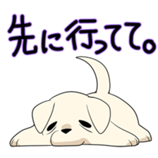 Old Labrador Retriever sticker #7032829
