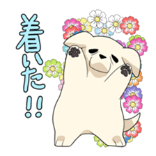 Old Labrador Retriever sticker #7032835