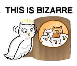 HAPPY OWL COU sticker #7036542