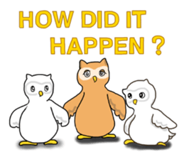 HAPPY OWL COU sticker #7036543