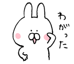 Mr. rabbit of Tsugaru valve sticker #7037511