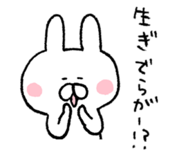 Mr. rabbit of Tsugaru valve sticker #7037534