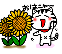 White cat sticker-2 sticker #7038504