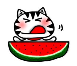 White cat sticker-2 sticker #7038527