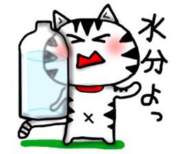 White cat sticker-2 sticker #7038532