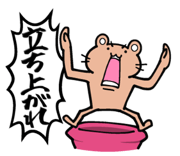 Shout! Bears 1.3 sticker #7041198