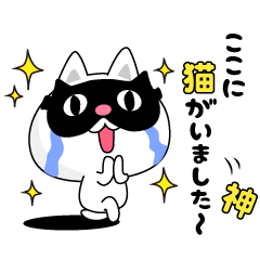 Here there was a cat.