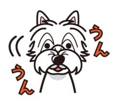 iinu - West Highland White Terrier sticker #7048048