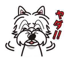 iinu - West Highland White Terrier sticker #7048049