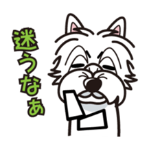 iinu - West Highland White Terrier sticker #7048050